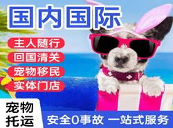 邯郸航空空运国际宠物托运 【国